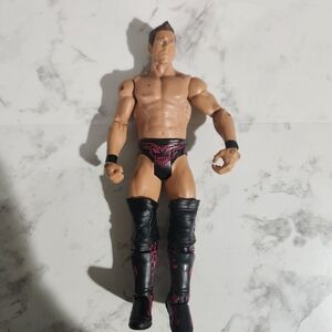2010 Mattel WWE The Miz Wrestling 7" action figure